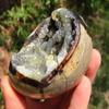 StarStuff.Rocks Mineral, Crystal, and Rock Collection: Authentic Minerals from Africa (Polished Septarian - Dragon Egg) view 3
