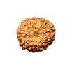 10 Mukhi Indonesia Rudraksha Small 10mm-12mm Lab Certified view 1