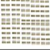 100 Slimline Tubes view 1