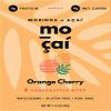 Healthy Snack Pack | Moringa & Aa | Set of 3 | Organic Ingredients | High Protein | Low Sugar | Low Carbs | Gluten Free | Energy Bites view 2