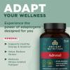 Ancient Nutrition Adrenal Support with Ashwagandha Supplement, Helps Reduce Stress & Fatigue, Paleo and Keto Friendly, Gluten Free, 1300mg, 60 Capsules view 4