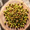 The Only Bean - Crunchy Roasted Edamame Beans (Sea Salt) - Keto Snacks (2g Net) - High Protein Healthy Snacks (14g Protein) - Low Carb, Gluten-Free Snack, Vegan Food - 4 oz (3 Pack) view 3