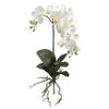 SilksAreForever 31" Hand-Wrapped Phalaenopsis Orchid Plant Silk Flower Stem -White (Pack of 4) view 1
