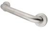 12 Inch Concealed Flange Textured Ada Grab Bar - Stainless Steel view 1