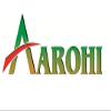 Aarohi Pure Organic Dry Mango Pickle Made by Grandma (400 Gram) view 4