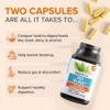 Zenwise Health No Bloat Digestive Enzymes for Gut Health, Gas & Bloating Relief - Multi Enzymes Digestion Supplement with Probiotics, Ginger, Turmeric Dandelion & Lactase - Men & Women - 60 Count view 3