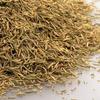 16 oz Whole Rosemary Seasoning - an Aromatic, Sweet, Nutty, Piney Flavor. - A Delicious Seasoning and a Beautiful Garnishment for Your Dishes. - Country Creek LLC view 2