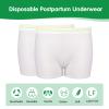 12 Pack Mesh Underwear Postpartum Must Have Hospital Provide Washable Breathable Undies for Delivery, Surgical,Traveling (2XL/3XL(14-42 in)) White view 3