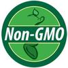 Bulk Corn Seeds - Bilicious Organic Corn Non GMO (10 Lbs) view 3