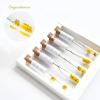 KKOKDAM Tea Gift Set - Chrysanthemum Blooming Tea Flowers - Fancy Korean Gifts For Teas Lovers - 5 Premium Flower Sticks view 2