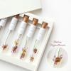 KKOKDAM Tea Gift Set - Siberian Chrysanthemum Blooming Stick Flowers - Fancy Korean Gifts For Tea Lovers - 5 Premium Flower Sticks view 2