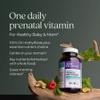 New Chapter Prenatal Vitamins, One Daily Prenatal Multivitamin with Methylfolate + Choline for Healthy Mom & Baby, Gluten Free & Non-GMO, 90 Count view 4