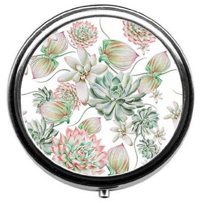 Beautiful Succulent Pill Box/Pill Case-Round Pill Box/Case- Three-Compartment Pill Box/Pill Case