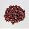 16 oz Red Popcorn Seed - Un Popped Kernels for Popping - Large Butterfly Popcorn- Versatile Product, Makes for a Delicious Snack or Family Fun Crafts! Works with Most Poppers. Country Creek LLC view 2