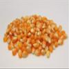 5 lbs Yellow Popcorn Seed - Un Popped Kernels for Popping - Large Butterfly Popcorn- Versatile Product, Makes for a Delicious Snack or Family Fun Crafts! Works with Most Poppers. Country Creek LLC view 2