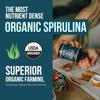 Organic Spirulina Tablets (360 Tablets) - Made with Parry Spirulina, The Best Spirulina in the World, Highest Nutrient Density - Non-Irradiated, 3 Organic Certifications (90 Servings) view 2