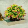 Reiki Crystal Products Beautiful Artificial Bonsai Plant with Pot | Bonsai Plant & Tree | Bonsai Tree for Indoor Office Home Decor Showpiece (Pack 0f 1 pc) view 2