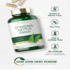 Carlyle Stinging Nettle Leaf Extract | 300 Capsules | Non-GMO & Gluten Free Supplement view 4