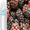 Boysenberry Aroma Concentrate - Vegan - Sasami - 100ml