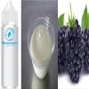 Yoghurt Blackberry Flavor Concentrate - Vegan - Sasami - 100ml view 1