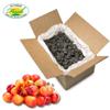 Sunrise Fresh Dried Fruit Company Unsweetened, No Sugar Added Dried Rainier Cherries, 5lb Bulk Box with Resealable Bag view 2