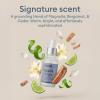 Vove Signature Scent Drops, Magnolia Bergamot Cedar Laundry Oil view 3