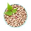 3Alpha Cranberry Beans - 1.1 Pound (Pack of 1) view 3