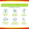 Stur Electrolytes Powder Hydration Packets | Fruit Punch | Sugar Free Water Flavor Packets for Workout Recovery | High Antioxidants & B Vitamins | Keto, Vegan, Non-GMO, Paleo, 96 Packets view 4