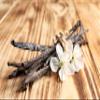 1/2 LB Vanilla Beans - Whole Extract Grade B Pods for Baking, Homemade Extract, Brewing, Coffee, Cooking - 8 Ounces | (Tahitian) view 4