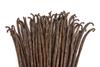 1 LB Vanilla Beans - Whole Extract Grade B Pods for Baking, Homemade Extract, Brewing, Coffee, Cooking - 16 Ounces | (Tahitian) view 1