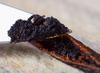 1 LB Vanilla Beans Grade A - Whole Gourmet Pods for Homemade Vanilla Extract, Baking, Brewing, Cooking, and Desserts - 16 Ounces (Tahitian) view 2