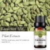 2-Pack Cardamom Essential Oil 100% Pure Oganic Plant Natrual Cardamom Oil for Diffuser Aroma Massage Skin Care - 2X10ML view 2