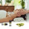 2-Pack Cardamom Essential Oil 100% Pure Oganic Plant Natrual Cardamom Oil for Diffuser Aroma Massage Skin Care - 2X10ML view 4