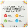 GTS LIVING FOODS Organic Synergy Kombucha Variety 6 Pack, 16 FZ view 2
