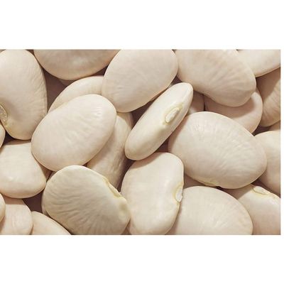 Commodity Canned Fruit and Vegetables Fancy Butter Beans in Sauce, 108 Ounce -- 6 per case.