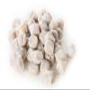 Rhino Chocolate Chip Cookie Dough, 20 Pound -- 1 each. view 1