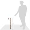 100th Day of School Old Man's Walking Cane - 26" (1 Pc.) - Unique Design - Lightweight & Durable Material - Perfect for Kids & Festivities view 3