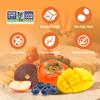 BOB SNAIL Healthy Fruit Snacks for Kids and Adults  60 Fruit Roll Up with Mango, Apple, Blueberry, Persimmon Vegan Low-Carb Variety Pack Leather Strips for KidsSugar Free Jerky Bar view 2