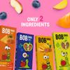 BOB SNAIL Healthy Fruit Snacks for Kids and Adults  60 Fruit Roll Up with Mango, Apple, Blueberry, Persimmon Vegan Low-Carb Variety Pack Leather Strips for KidsSugar Free Jerky Bar view 3