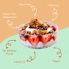 Apricot, Coconut, Almond Granola Clusters - 6 Pack of 4 oz Bags - Gluten Free Oats, High Protein, Low Sugar, Vegan, Dairy Free, Soy Free, Vitamin E, Prebiotic For Optimum Gut Health, Nutrient-Rich Snack view 3