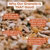 Apricot, Coconut, Almond Granola Clusters - 6 Pack of 4 oz Bags - Gluten Free Oats, High Protein, Low Sugar, Vegan, Dairy Free, Soy Free, Vitamin E, Prebiotic For Optimum Gut Health, Nutrient-Rich Snack view 4