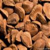 Fresh Raw In-shell Whole Brazil Nuts (1) view 2