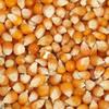 Bestdeal Pop Corn Kernels 400 Gram view 1
