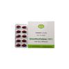 AVN AYURVEDA DHANWANTARAM (101) Soft Gel Capsules - 100 NOS - by Venus.Exports view 1
