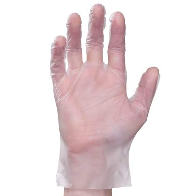 1000ct Non Medical Stretch Poly (PE) Gloves 5 Boxes of 200 Gloves (Large)