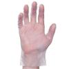 1000ct Non Medical Stretch Poly (PE) Gloves 5 Boxes of 200 Gloves (Large) view 1