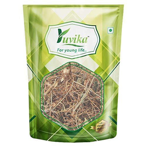 YUVIKA Afteeyun - Aftiun - Afttimoon - Amar Bel - Aakash Bel - Cuscuta Reflexa - Dodder (400 Grams)
