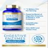 Carlyle Digestive Enzymes | with Probiotics & Prebiotics | 180 Capsules | Non-GMO and Gluten Free Supplement for Men & Women view 4