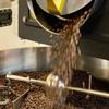 World Traveler Coffee Roasters, Whole Bean Coffee, Medium Roast, 12 Ounce (Zebra Blend) view 3