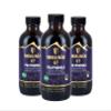 Immunia 67 Polyphenols - Elderberry Concentrate & Antioxidant Fruits. Premium Antioxidant Supplement with 67 Polyphenols (Anthocyanins, Quercetin, Resveratrol, etc.) 24-Day Supply per Bottle (3-Pack) view 1